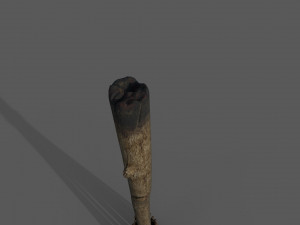 Medieval style broom Modelo 3D