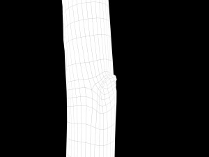 Medieval style broom Modelo 3D