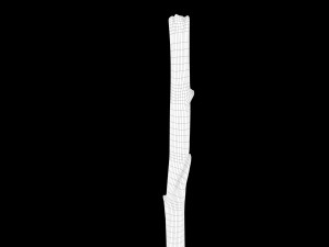 Medieval style broom Modelo 3D