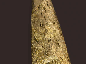 milieu de lingot d'or Modèle 3D