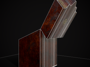 Antique Georgian Knife Box Modelo 3D