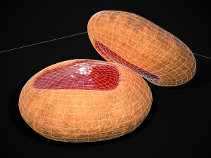 Jelly Heart Biscuit Modèle 3D