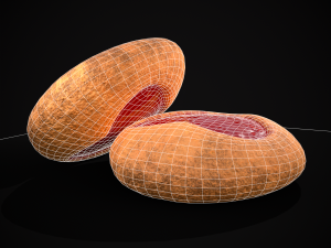 Jelly Heart Biscuit Modèle 3D