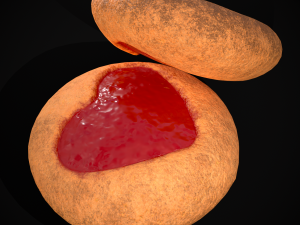 Jelly Heart Biscuit Modèle 3D