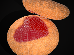 Jelly Heart Biscuit Modèle 3D