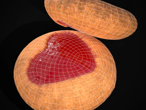 Jelly Heart Biscuit 3D Model