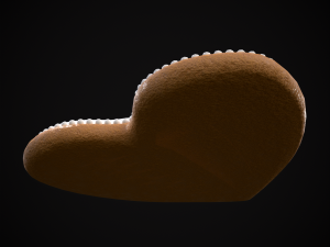 I Heart You Valentines Cookie 3D Model