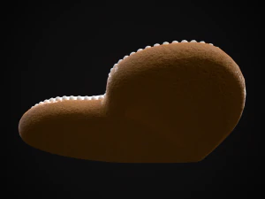 I Heart You Valentines Cookie 3D Model