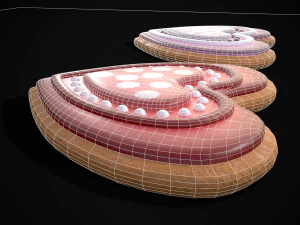 Heart within a Heart Cookie 3D Model