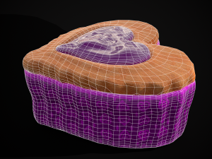 Valentines Jelly Heart Pastry 3D Модель