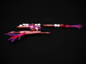 3D Valentines Bead Heart Charm model 3D Model
