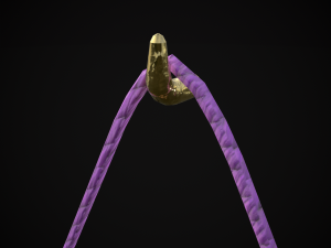 Valentines Arrow Hanger 3D मॉडल