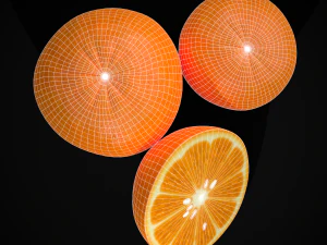 3D Navel Oranges 3D Model