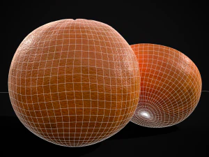 3D Navel Oranges 3D Model