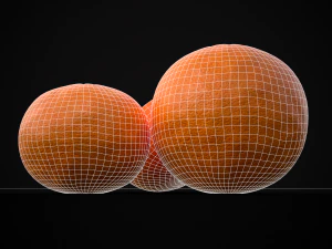3D Navel Oranges 3D Model