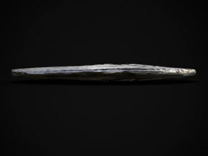 Silver Penny Of Cynethryth 3D Model