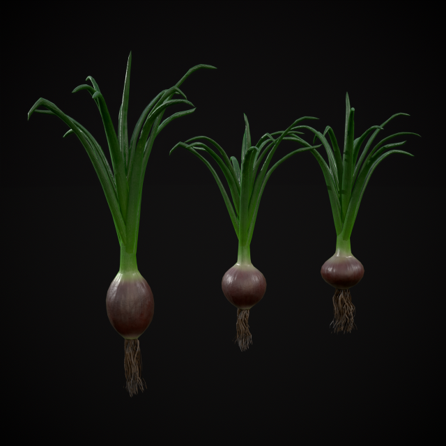 Red Onions 3D 모델 .c4d .max .obj .3ds .fbx .stl .blend 