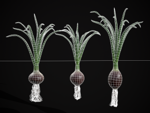 Red Onions 3D 모델