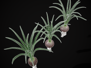 Red Onions 3D 모델