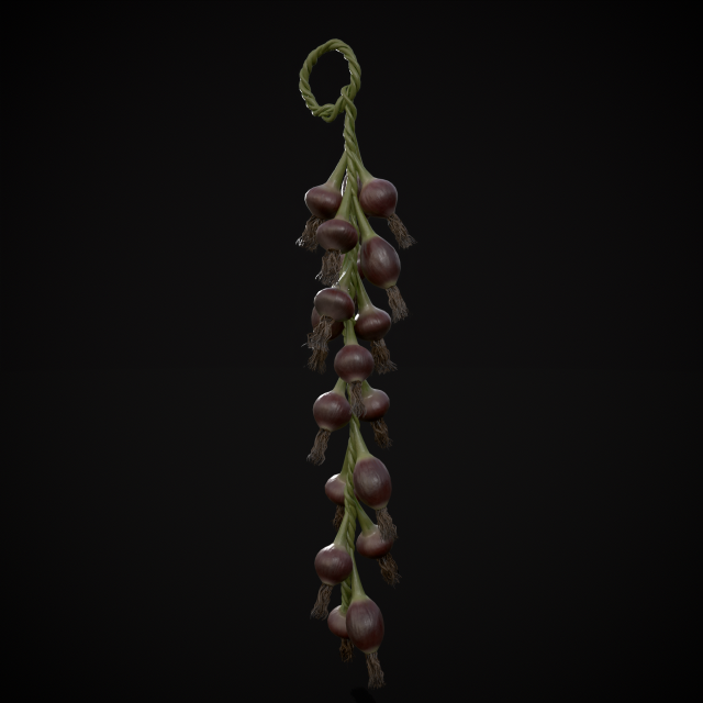 Hanging Red Onions Modello 3D .c4d .max .obj .3ds .fbx .stl .blend 