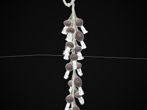 Hanging Red Onions Modello 3D