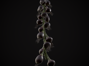 Hanging Red Onions Modello 3D