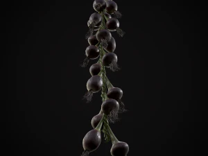 Hanging Red Onions 3D Model