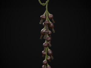 Hanging Red Onions Modello 3D