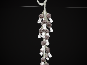 Hanging Red Onions Modello 3D