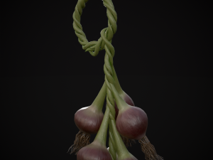 Hanging Red Onions Modello 3D