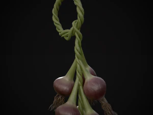 Hanging Red Onions 3D Model
