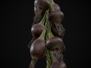Hanging Red Onions Modello 3D