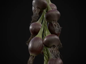 Hanging Red Onions 3D Model
