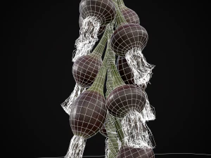 Hanging Red Onions 3D Model