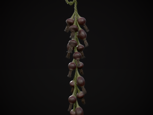 Hanging Red Onions Modello 3D