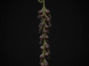 Hanging Red Onions 3D Model