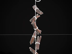 Hanging Smoked Sausages 3D Model