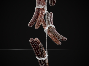 Hanging Smoked Sausages Modelo 3D