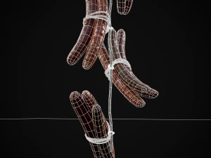 Hanging Smoked Sausages 3D Model