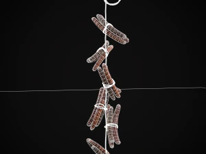 Hanging Smoked Sausages 3D Model