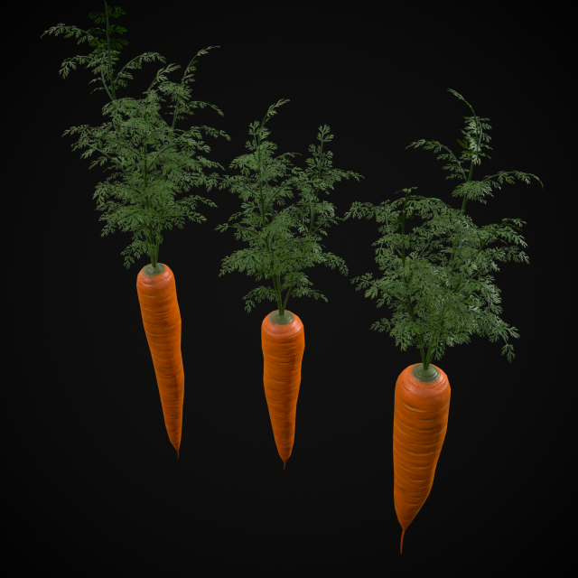 Carrots 3D Модель .c4d .max .obj .3ds .fbx .stl .blend 