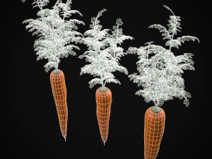 Carrots 3D Model