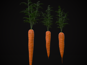 Carrots 3D Модель