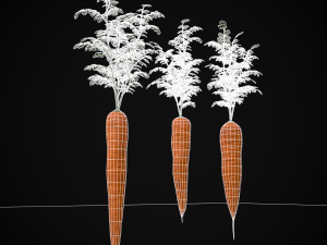 Carrots 3D Модель