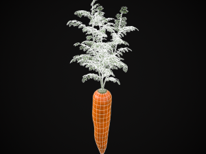 Carrots 3D Модель