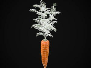 Carrots 3D Model