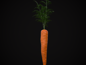 Carrots 3D Модель