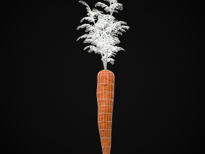 Carrots 3D Модель