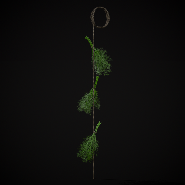 Hanging Dills Modèle 3D .c4d .max .obj .3ds .fbx .stl .blend 