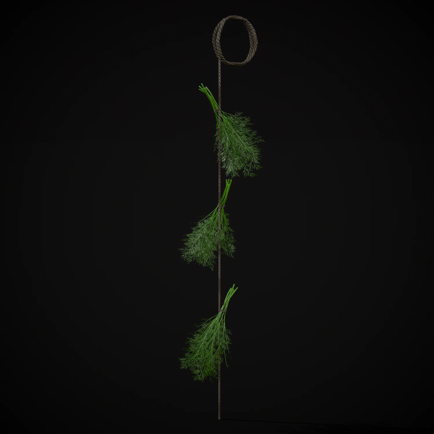 Hanging Dills 3D Model .c4d .max .obj .3ds .fbx .stl .blend 